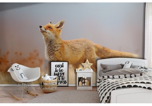 Carta da Parati animali volpe bambini natura cameretta-45