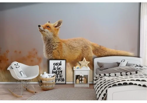 Carta da Parati animali volpe bambini natura cameretta-45