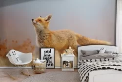 Animal Fox Children Nature Wallpaper for Children's Room-45