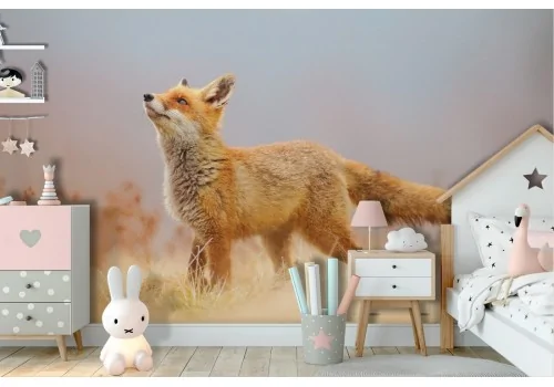 Carta da Parati animali volpe bambini natura cameretta-45 2