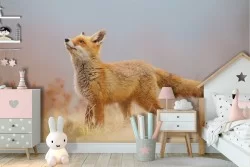 Animal Fox Children Nature Wallpaper for Children's Room-45