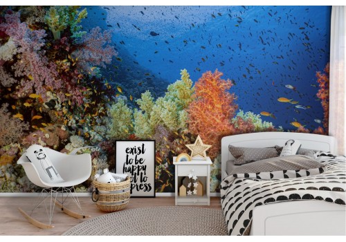 Wallpaper corals and fish underwater world nature animals -47