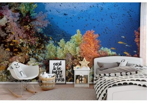 Wallpaper of corals and fish underwater world nature animals -47