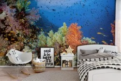 Wallpaper corals and fish underwater world nature animals -47