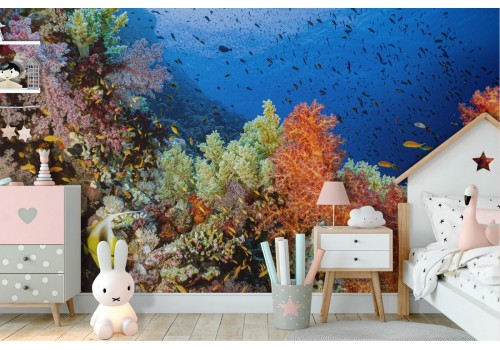 Wallpaper corals and fish underwater world nature animals -47 2