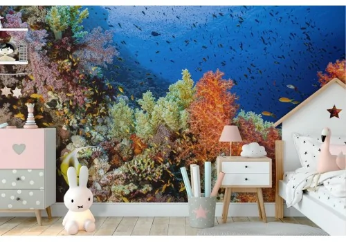 Wallpaper corals and fish underwater world nature animals -47 2