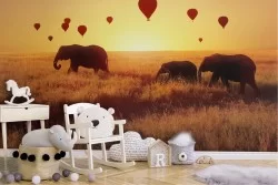 Carta da Parati Animali uccelli Razzi aerei mongolfiere