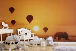 Wallpaper Animals Birds Rockets Airplanes Hot Air Balloons