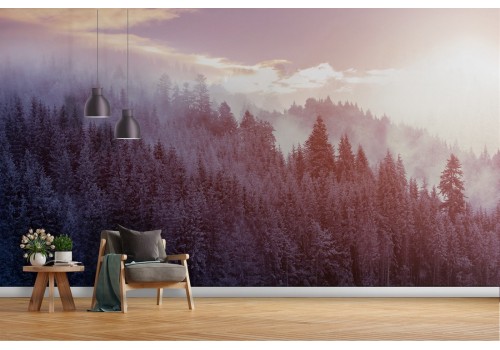 Wallpaper landscape nature trees forest photography-53