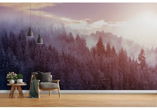 Wallpaper landscape nature trees forest photography-53