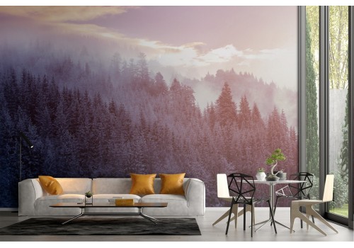 Wallpaper landscape nature trees forest photography-53 2