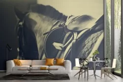 Refined design horse photography wallpaper-54