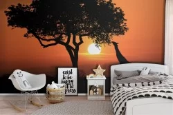 Carta da Parati giraffa natura tropicale animali bambini-56