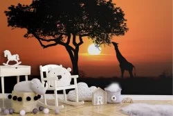 Carta da Parati Animali uccelli