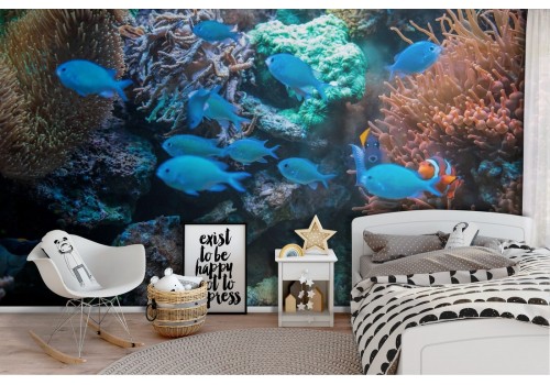 Carta da Parati Pesci tropicali e coralli natura bambini Nemo-57