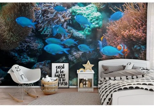 Carta da Parati Pesci tropicali e coralli natura bambini Nemo-57