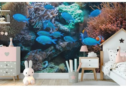 Tropical Fish and Natural Corals Children's Wallpaper Nemo-57 2
