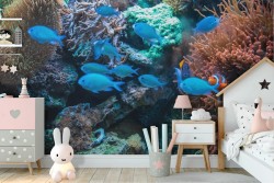Carta da Parati Pesci tropicali e coralli natura bambini Nemo-57