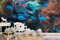 Carta da Parati Animali uccelli Mondo acquatico