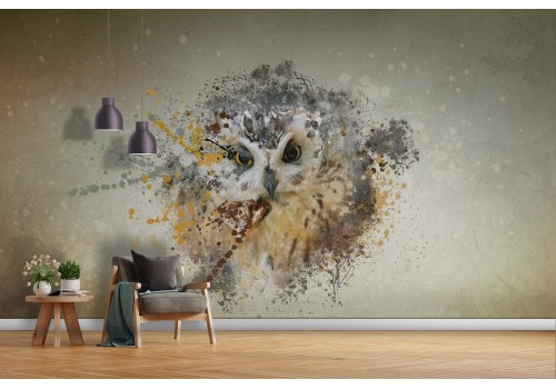 Animal Nature Wallpaper Owl-62