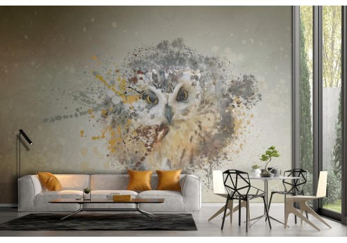 Animal Nature Wallpaper Owl-62 2