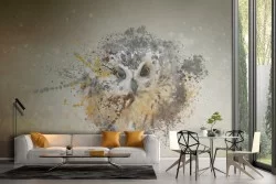 Carta da Parati natura animali gufo-62