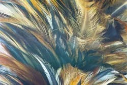 Carta da Parati Design e Stili Luxury Moderna Natura