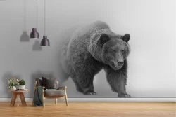 Bear animals modern design wallpaper-65