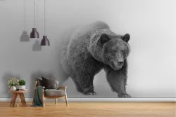 Carta da Parati orso animali design moderno-65