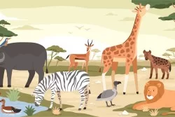 Children's Wallpaper Animals Birds