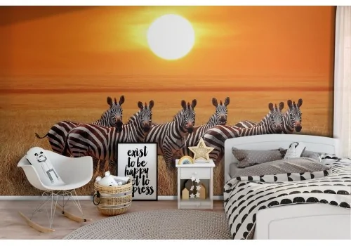 Zebra Nature Animals Photo Children's Wallpaper-69