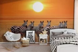 Zebra Nature Animals Photo Kids Wallpaper-69