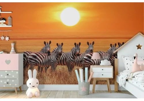 Zebra Nature Animals Photo Kids Wallpaper-69 2