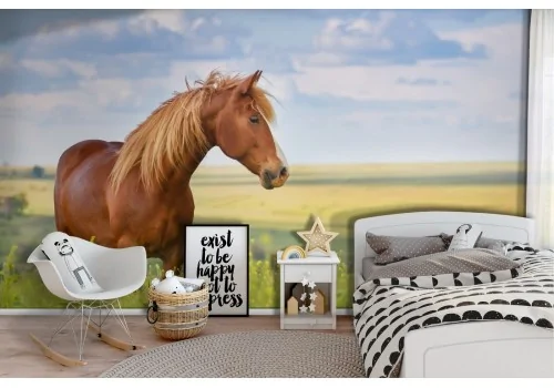 Carta da Parati natura animali cavallo nel prato bambini-70