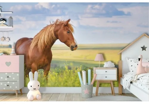 Wallpaper nature animals horse in the meadow children-70 2