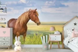 Carta da Parati natura animali cavallo nel prato bambini-70