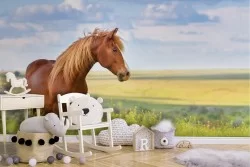 Animal Birds Wallpaper