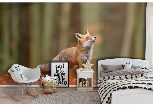 Carta da Parati volpe nel bosco natura paesaggio bambini-74