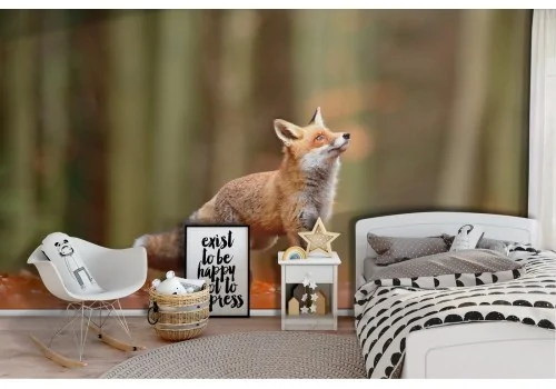 Fox Wallpaper in the nature forest landscape for children-74