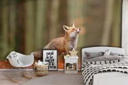 Wallpaper fox in the forest nature landscape children-74