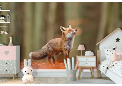 Carta da Parati volpe nel bosco natura paesaggio bambini-74 2