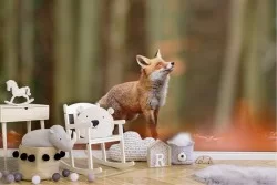 Carta da Parati Animali uccelli