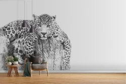 Cheetah Wallpaper Animal Nature Design Illustration-75