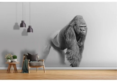 Carta da Parati gorilla natura animali design moderno-77
