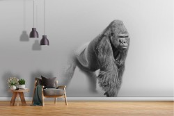 Carta da Parati gorilla natura animali design moderno-77