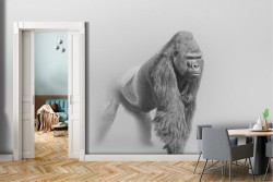 Carta da Parati animali