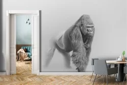 Animal Wallpaper