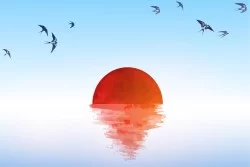 Carta da Parati Design e Stili Paesaggi e Natura Alba Tramonto Cielo Spiaggia e Mare