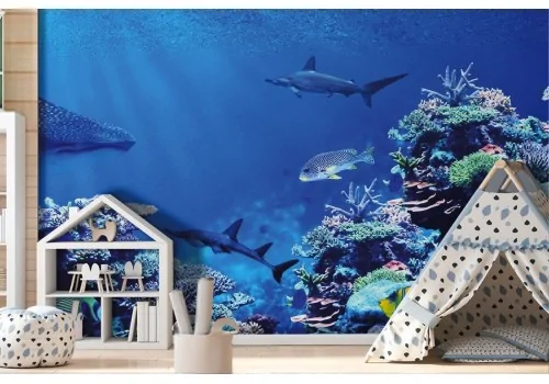 Carta da Parati Animali uccelli 2