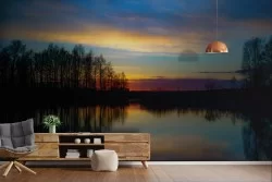 Wallpaper Dawn Sunset Forests and Trees